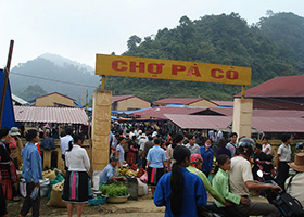 Pa Co Market