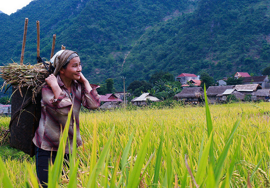 Pu Luong Hoa Binh